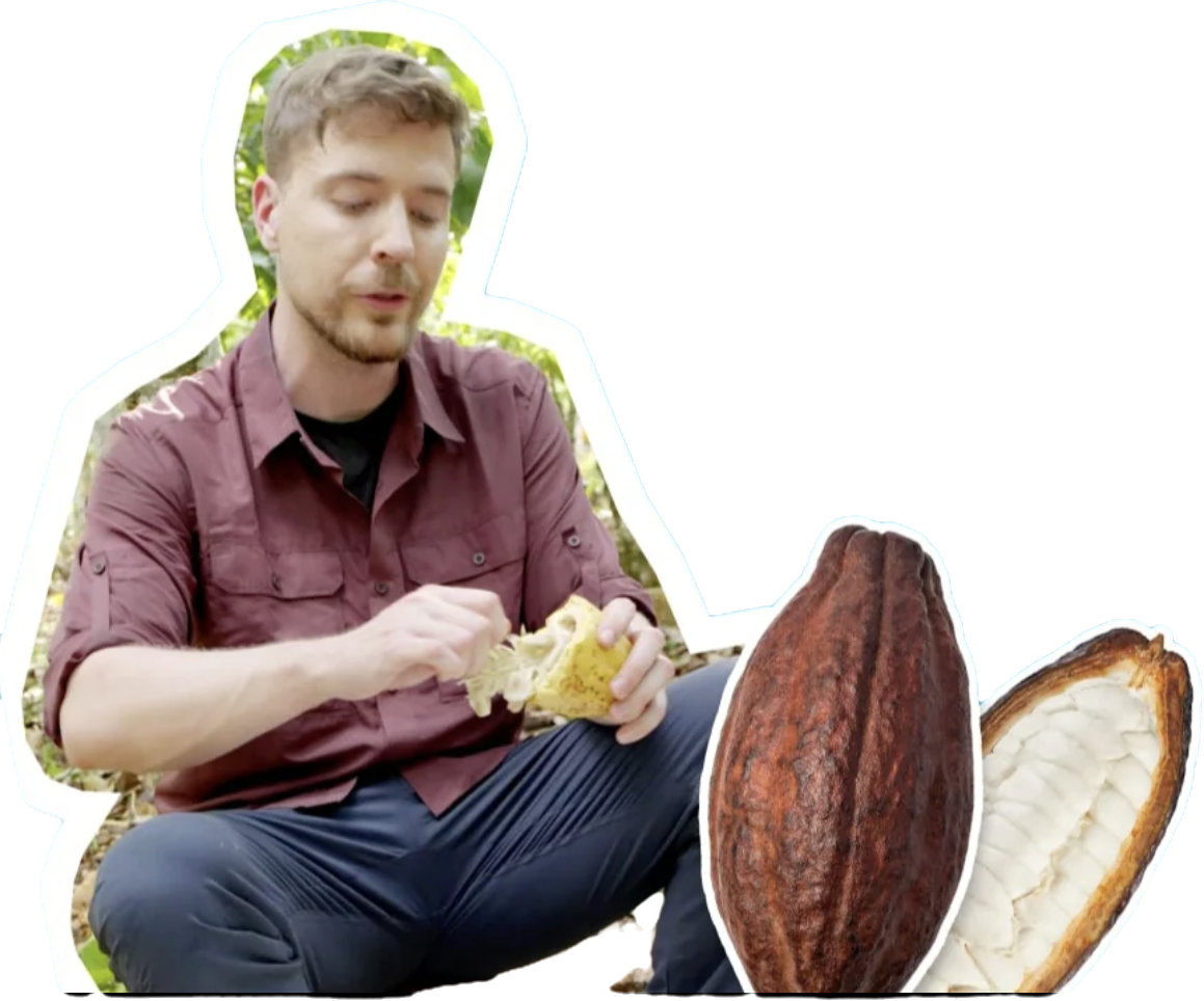 MrBeast Holding Cocoa Pod